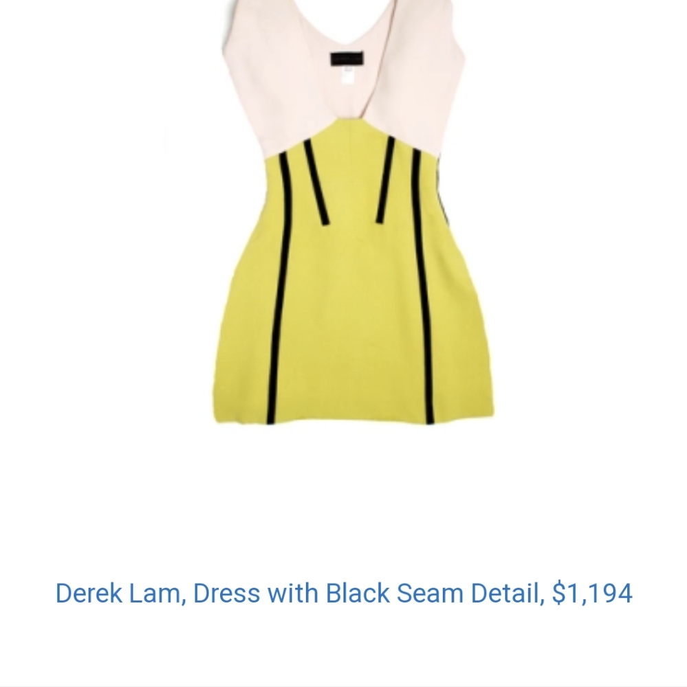 Derek Lam silk dress size 4